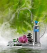 Domowe Spa Anespa DX